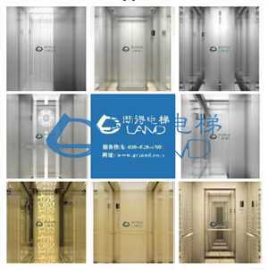 朗得电梯电梯轿厢装潢效果赏析【6】